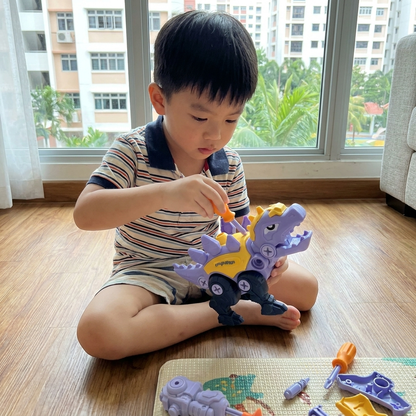 DIY Build & Transform Dinosaur Egg Toy