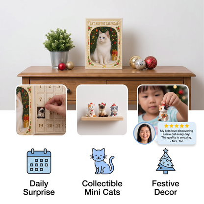 24-Day Christmas Cat Advent Calendar