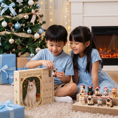 24-Day Christmas Cat Advent Calendar