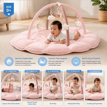 5-in-1 Plush Baby Play Gym, Activity Mat & Bed with Hanging Toys