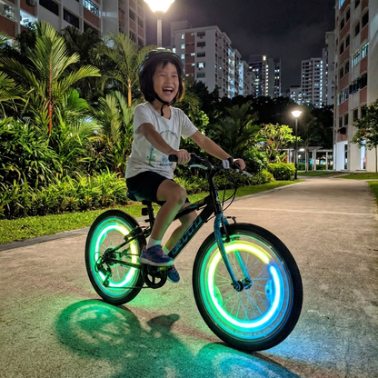 Colorful LED Bicycle Wheel Spoke Lights
