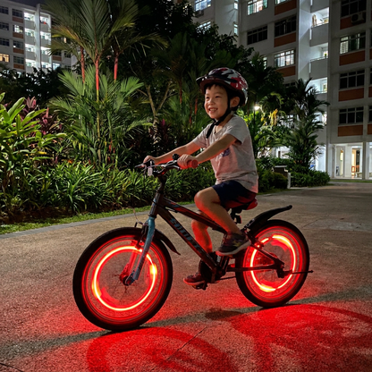 Colorful LED Bicycle Wheel Spoke Lights